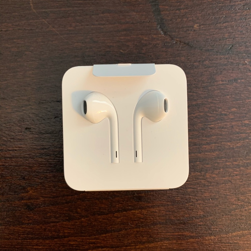 Apple earphones